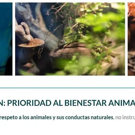 Playa El Puntal Asturias