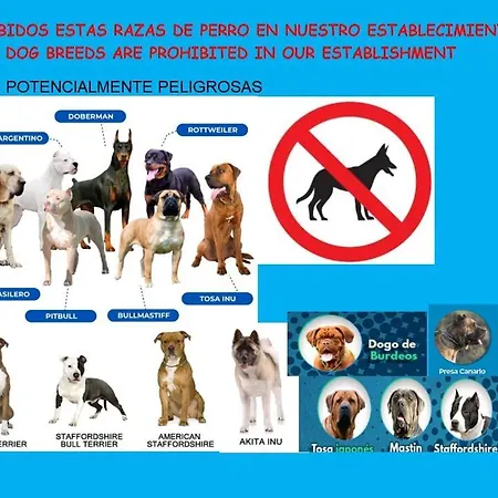 Playa El Puntal Asturias * 比利亚维西奥萨