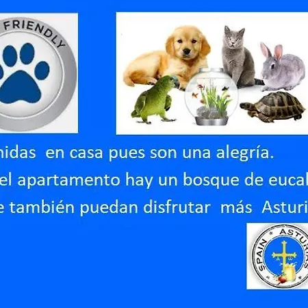 Apartamento Playa El Puntal Asturias *